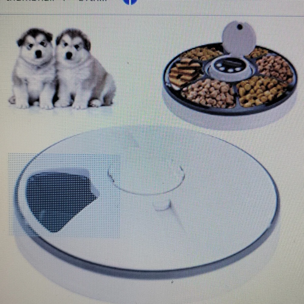 Timed Pet Feeder 6 compartments hold 70g dry or wet food LED screen battery NEW…